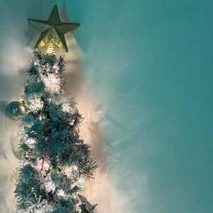 CHRISTMAS CLOSET CLEANOUT